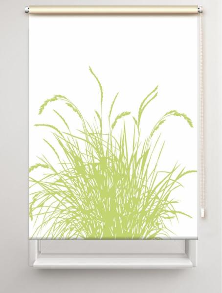 Rollo Reed24 Apfel blanco, Rollo, Motivrollo, Rollo mit Druck, Fotorollo, bedrucktes Rollo, Fensterrollo,verdunkelndes Rollo, Sonnenschutz Rollo